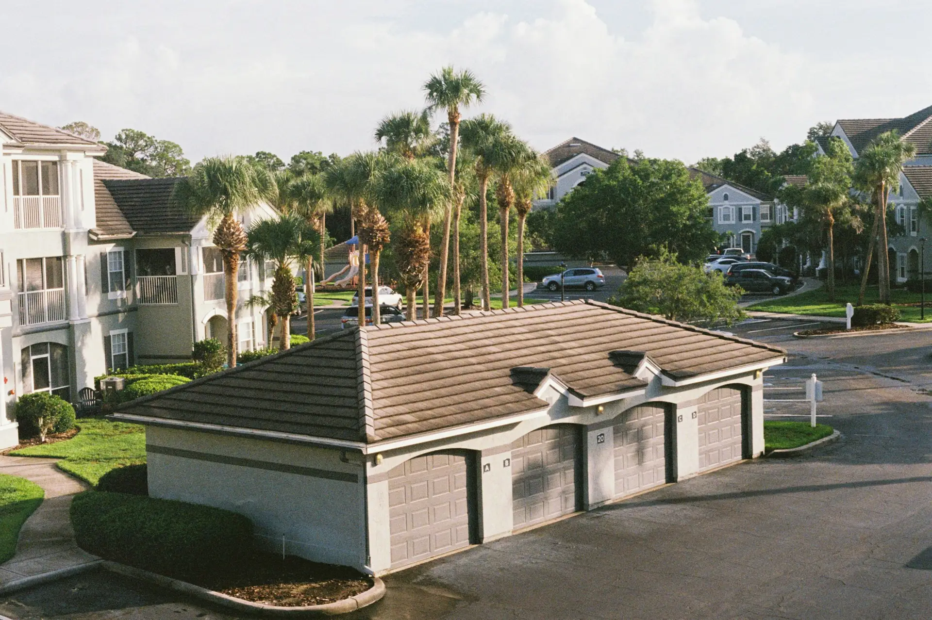 Neighborhood street with homes and palm trees